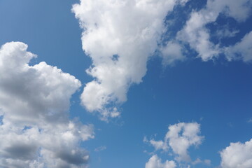 Fototapeta premium White fluffy clouds in the sky. Blue sky and cloud cover on a sunny summer day. Empty background, copy space