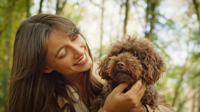 Pretty Caucasian woman embracing small brown curly dog outdoors looking at pet with affection. Female enjoying loving moment with furry companion under soft sunlight and blurred forest background.