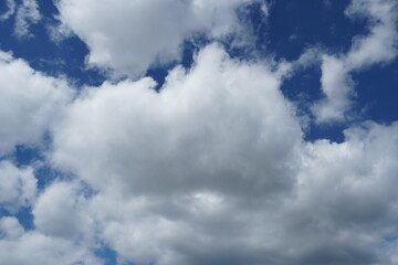 Fototapeta premium White fluffy clouds in the sky. Blue sky and cloud cover on a sunny summer day. Empty background, copy space