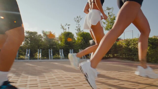 Runners move through sunlight during outdoor park training