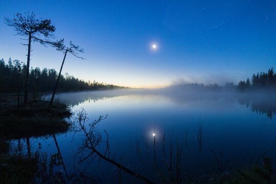Moon Reflected in a Misty Forest Lake at Blue Hour