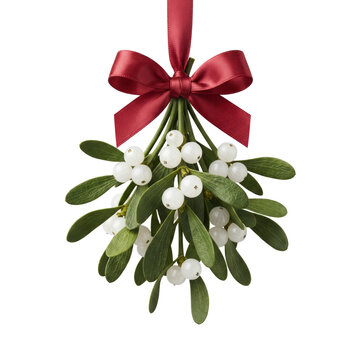 Christmas mistletoe branch with white berries and red ribbon