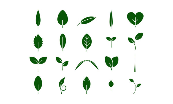 Minimal Green Leaf Botanical Symbol Set.