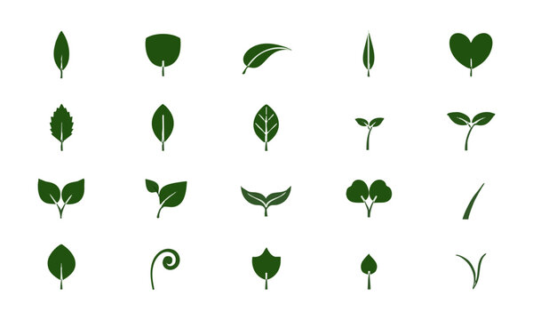 Green Leaf Nature and Eco Symbol Collection.