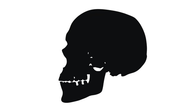Skull jaw profile silhouette vector presenting an alternate side view of the human skeletal head with visible teeth structure isolated against a plain white background.