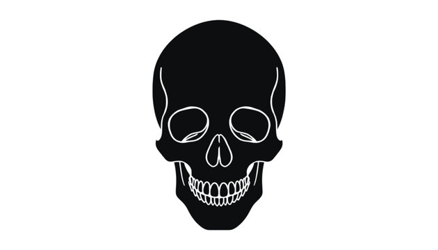 Skull facing forward featuring detailed facial bones eye sockets and a visible jaw with teeth rendered in a clean graphic line style suitable for apparel prints and educational anatomy charts.