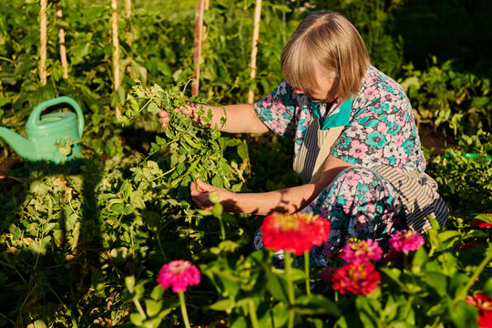 A person is working in a garden surrounded by green plants and colorful flowers. The scene shows a focus on caring for the plants in warm sunlight