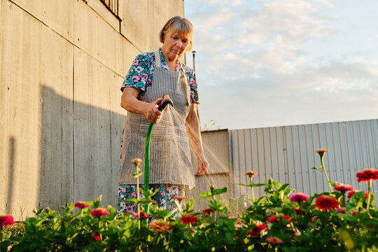 A woman stands and waters colorful flowers in a garden by a large building in the evening. The sun casts light on her and the plants