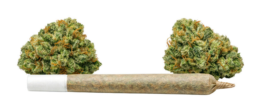 PNG Cannabis joint with buds.