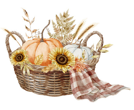 Autumn basket watercolor illustration with pumpkins, sunflowers, wheat, fern and checkered fabric isolated on background. Harvest clipart for Thanksgiving invitations and farmhouse designs.