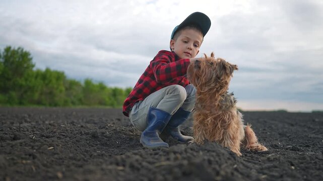 Boy crouching field smiling petting loyal pup. Child strokes dog head softly, pup enjoys outdoor fun. Playing together builds trust in field, boy laughs with dog. Gentle petting creates bond.
