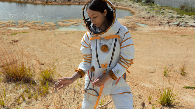 Field research on another world with an astronaut studying a small desert plant