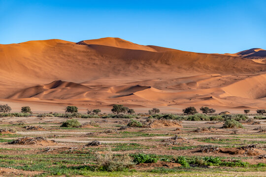 Sossusvlei Sand Dunescape