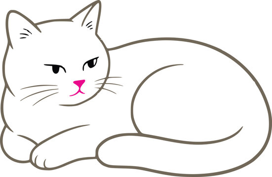 Cute white cat lying down in a simple hand drawn illustration style