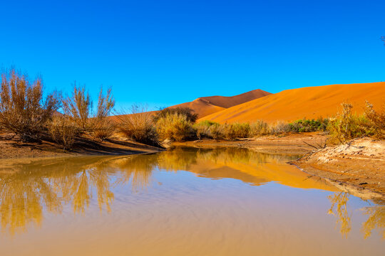 Sossusvlei Reflection