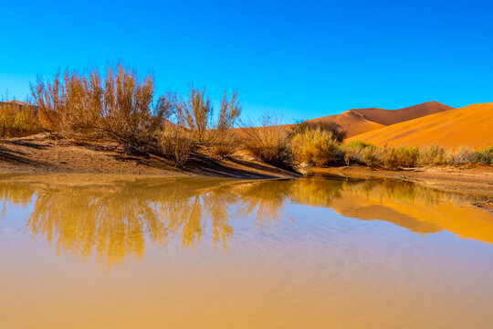Sossusvlei Reflection