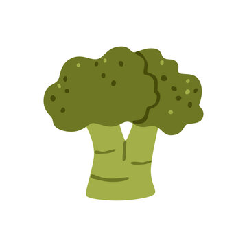 Flat vector illustration of a broccoli head with a green stalk and textured florets, isolated on a white background. Simple organic vegetable design in natural green tones.