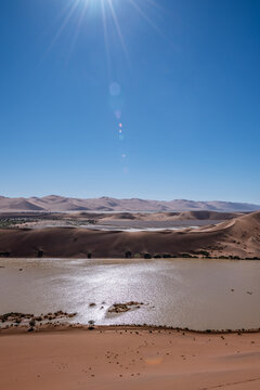 Sossusvlei Lake Oasis