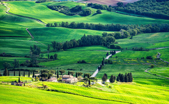 Typische, h&uuml;gelige Kulturlandschaft desVal d'Orcia in der s&uuml;dlichen Toskana, Italien