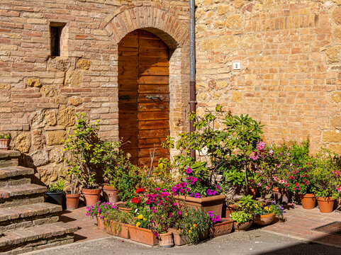 Pflanzen und Blumen an den Hausw&auml;nden und in den engen Gassen der sch&ouml;nen Stadt Pienza inmitten der Toskana, Provinz Siena, Italien