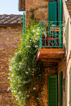 Pflanzen und Blumen an den Hausw&auml;nden und in den engen Gassen der sch&ouml;nen Stadt Pienza inmitten der Toskana, Provinz Siena, Italien