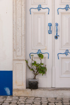 facade of white door with ornate blue handles and plant in Europe, minimal