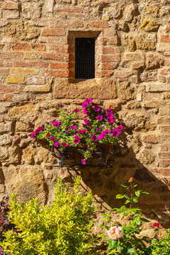 Pflanzen und Blumen an den Hausw&auml;nden und in den engen Gassen der sch&ouml;nen Stadt Pienza inmitten der Toskana, Provinz Siena, Italien