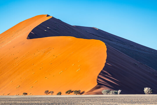 Dune 45 Majesty