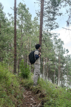 Chico en el bosque