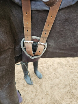 Close view of horse gear during riding lesson at stable