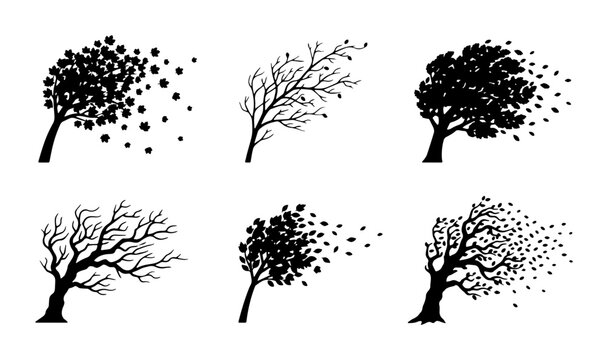 Windy tree silhouettes collection, set of 6 black vector trees blowing in wind, storm and autumn weather icons