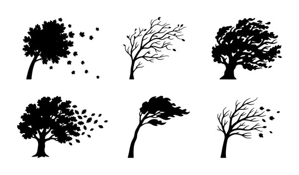 Windy tree silhouettes set, black blowing trees with falling leaves, 6 weather icons for storm and autumn nature designs