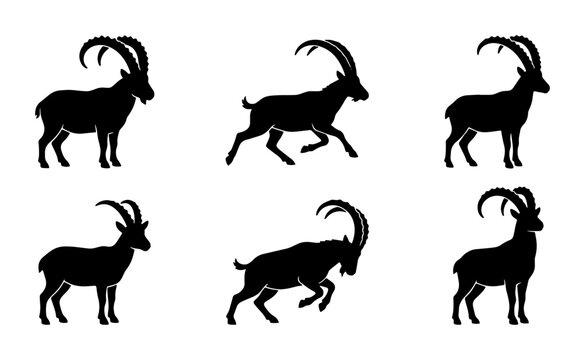 Alpine ibex silhouette set, mountain goat vector icons, 6 wild animal silhouettes, black capra ibex standing and jumping
