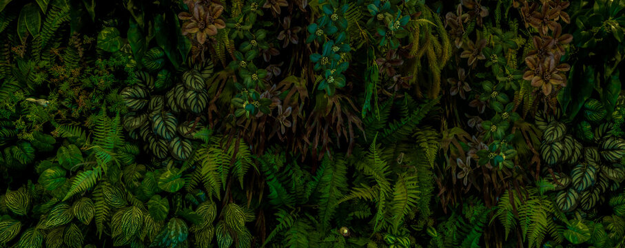 Herb wall, plant wall, natural green wallpaper and background. nature wall. Nature background of green forest.