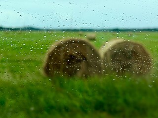 Raindrops cling to a glass window overlooking round hay bales sitting in a green field. The horizontal medium shot highlights wet glass textures, rural agriculture, and moody rainy day vibes. © Kristine