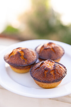 3 Ouricos, portugese local specialty sweet made from almond flour, sugar, eggs, and citrus zest, shaped like a small round bun with a caramelized crust on a plate with a soft focus garden background 