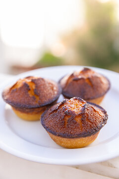 3 Ouricos, portugese local specialty sweet made from almond flour, sugar, eggs, and citrus zest, shaped like a small round bun with a caramelized crust on a plate with a soft focus garden background 