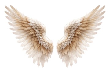 Fototapeta premium Illustration of a pair of detailed, soft beige and white angel wings.