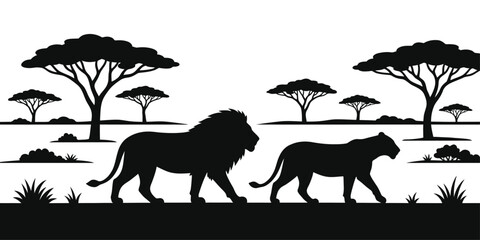 Fototapeta premium Two majestic african lions are walking together across the vast savanna landscape beneath a bright white sky and scattered acacia trees