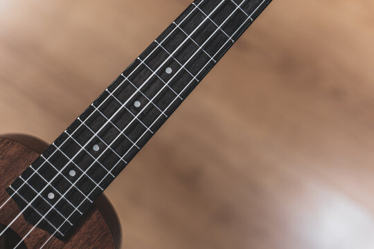 Ukulele neck with dark fretboard appears in close view. Metal frets form precise spacing. Circular markers indicate positions. 