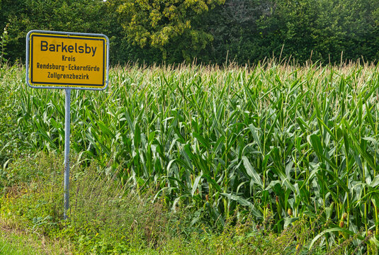 Barkelsby town entrance sign next to a cornfield, Schwansen