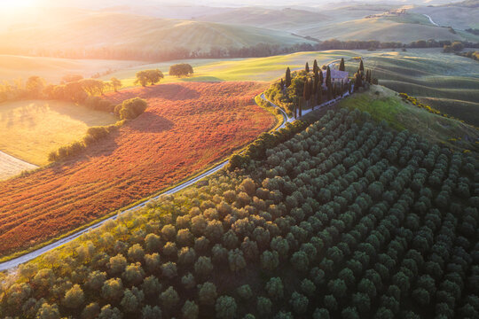 Aerial view of Valdorcia Belvedere bb surrounded by cypress trees, olive groves, and rolling hills in the golden hour light in Pienza, Toscana, Italy.
