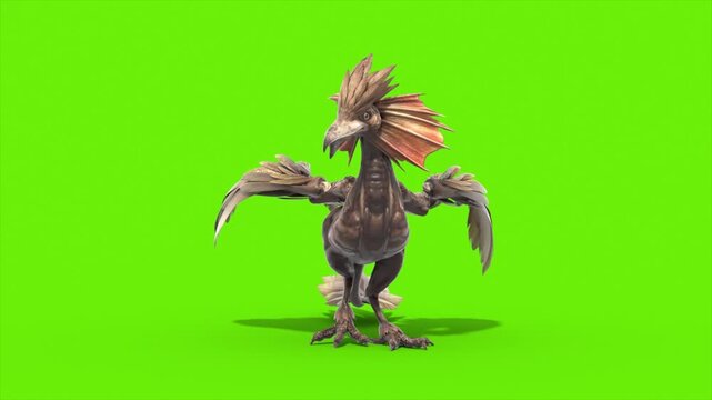Green Screen Archaeopteryx Idle Eat Loop Front Dinoasaurs 3D Rendering Animation CGI 4K