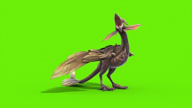 Green Screen Archaeopteryx Roar Loop Side Dinoasaurs 3D Rendering Animation CGI 4K