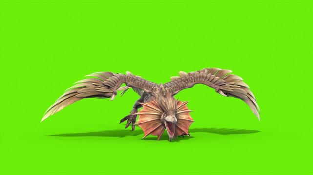 Green Screen Archaeopteryx Runcycle Front Loop Dinoasaurs 3D Rendering Animation CGI 4K