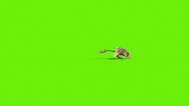 Green Screen Archaeopteryx Runs Side Dinoasaurs 3D Rendering Animation CGI 4K