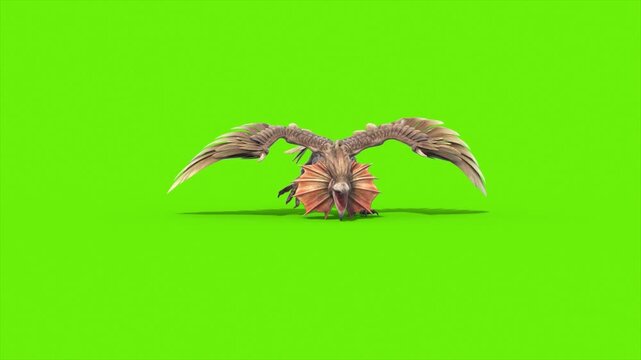 Green Screen Archaeopteryx Runs Front Dinoasaurs 3D Rendering Animation CGI 4K