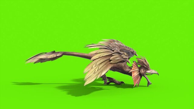 Green Screen Archaeopteryx Runcycle Side Loop Dinoasaurs 3D Rendering Animation CGI 4K
