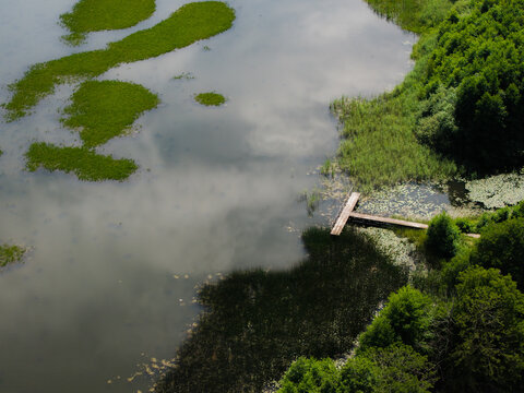 Aerial view of a wooden pier extending into a calm lake with patches of aquatic vegetation and lush green forest along the shoreline in Grutas, Alytus County, Lithuania.