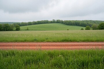 Naklejka premium Red dirt path cuts through lush green grass field. Rolling hills and trees dot the horizon under a cloudy sky. Peaceful rural landscape awaits discovery.